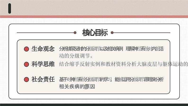 【核心素养目标】2.4《神经系统的分级调节》课件02