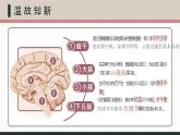 【核心素养目标】2.4《神经系统的分级调节》课件