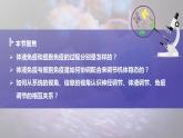 【核心素养目标】4.2《特异性免疫》课件