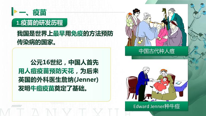 【核心素养目标】4.4《免疫学的应用》课件第5页