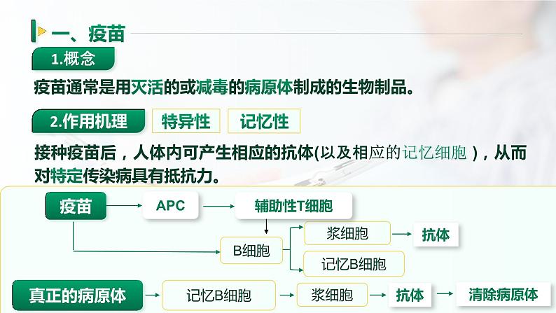 【核心素养目标】4.4《免疫学的应用》课件第7页