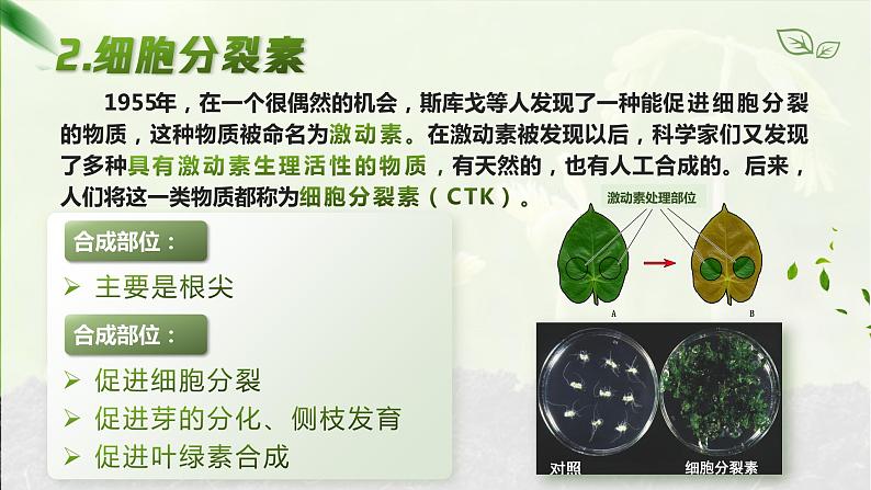 【核心素养目标】5.2《其他植物激素》课件07