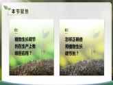 【核心素养目标】5.3《植物生长调节剂的应用》课件