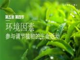 【核心素养目标】5.4《环境因素参与调节植物的生命活动》课件