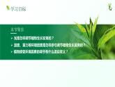 【核心素养目标】5.4《环境因素参与调节植物的生命活动》课件