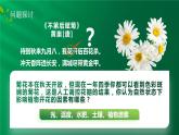 【核心素养目标】5.4《环境因素参与调节植物的生命活动》课件
