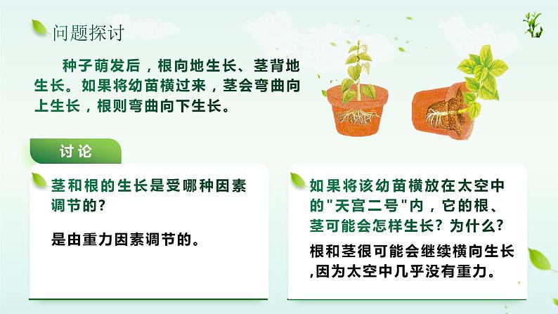 【核心素养目标】5.4《环境因素参与调节植物的生命活动》课件05