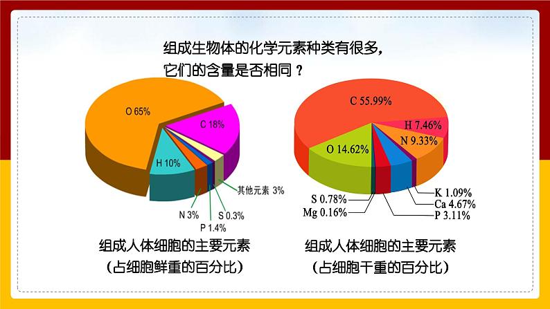 2.1组成细胞的元素和化合物课件PPT第4页