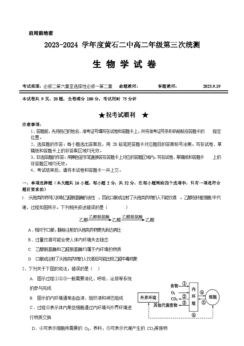 湖北省黄石市第二中学2023-2024学年高二上学期第三次统测生物试题（含答案）01