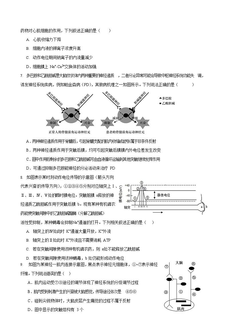 湖北省黄石市第二中学2023-2024学年高二上学期第三次统测生物试题（含答案）03