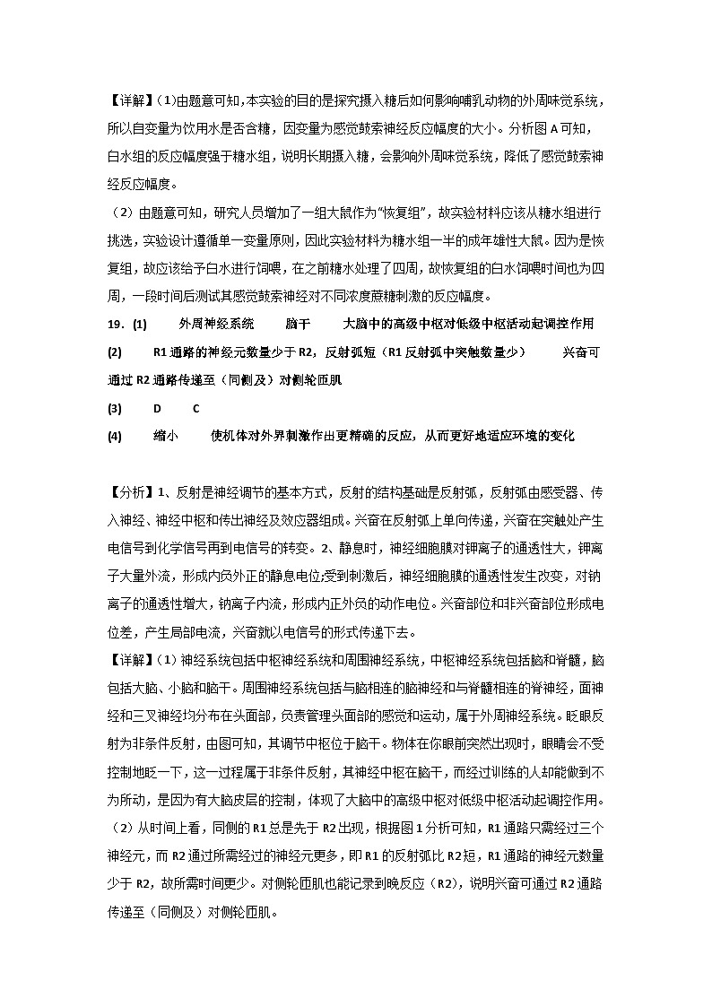 湖北省黄石市第二中学2023-2024学年高二上学期第三次统测生物试题（含答案）02