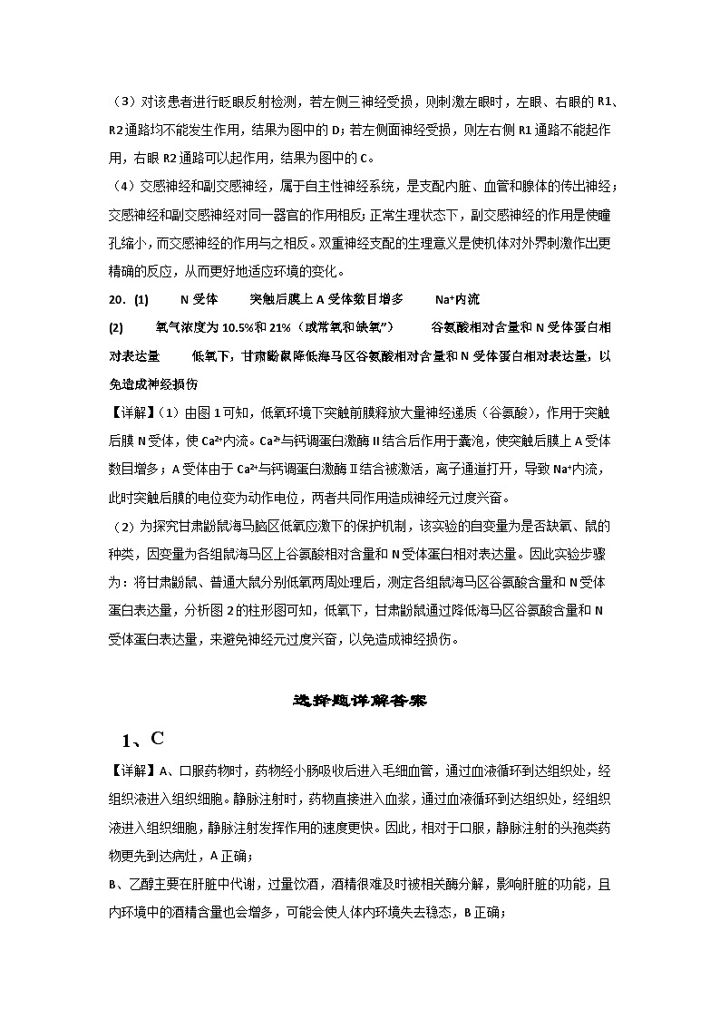 湖北省黄石市第二中学2023-2024学年高二上学期第三次统测生物试题（含答案）03