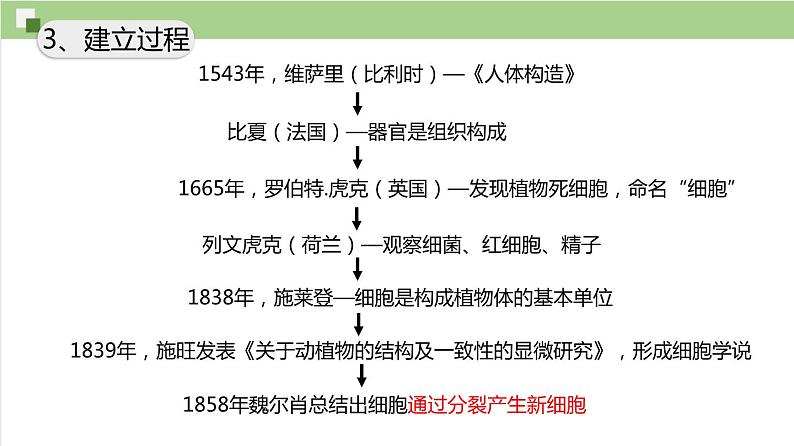 1.1细胞是生命活动的基本单位课件PPT06