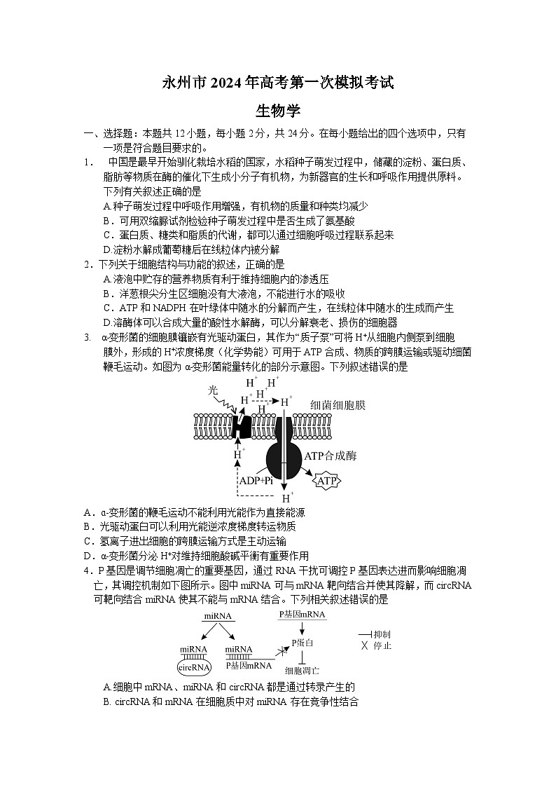 湖南省永州市2023-2024学年高三上学期第一次适应性考试生物试题（含答案）01