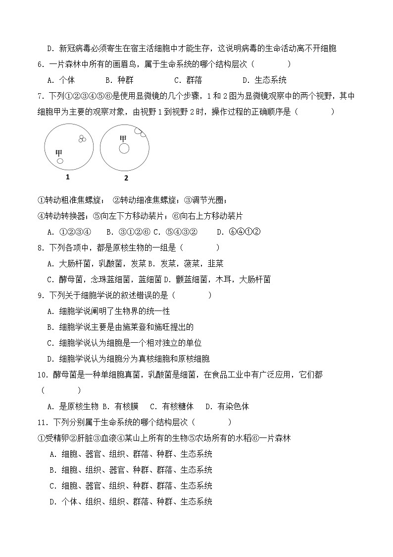 陕西省宝鸡市陈仓区虢镇中学2023-2024学年高一上学期入学检测考试生物试题（含答案）第2页