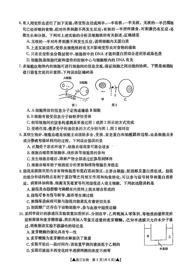 2024陕西省高三上学期第一次联考生物试题PDF版含答案02