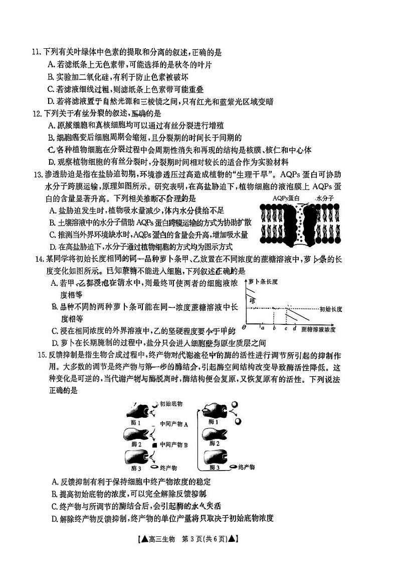 2024陕西省高三上学期第一次联考生物试题PDF版含答案03