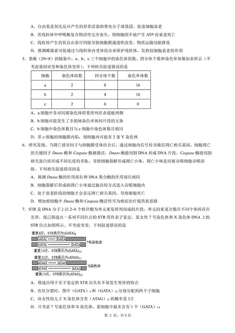 2024重庆市一中高三上学期9月开学考试生物PDF版含答案02