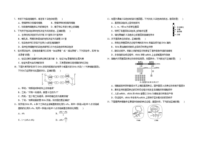 2024长春外国语学校高二上学期9月月考生物试题含答案02