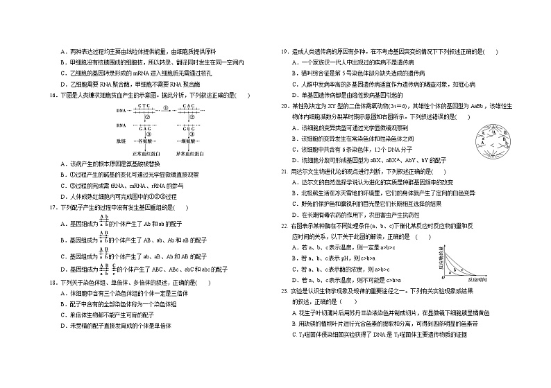2024长春外国语学校高二上学期9月月考生物试题含答案03