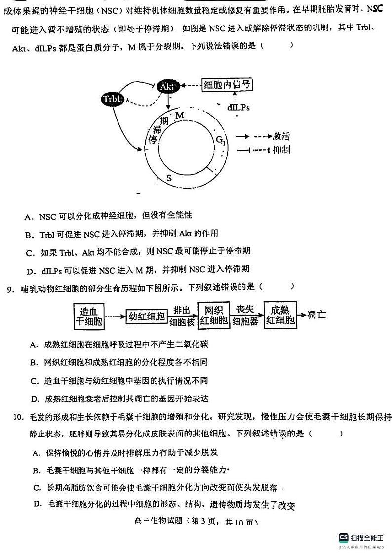 山东省鄄城县第一中学2023-2024学年高三上学期9月月考生物试题（图片版含答案）第3页