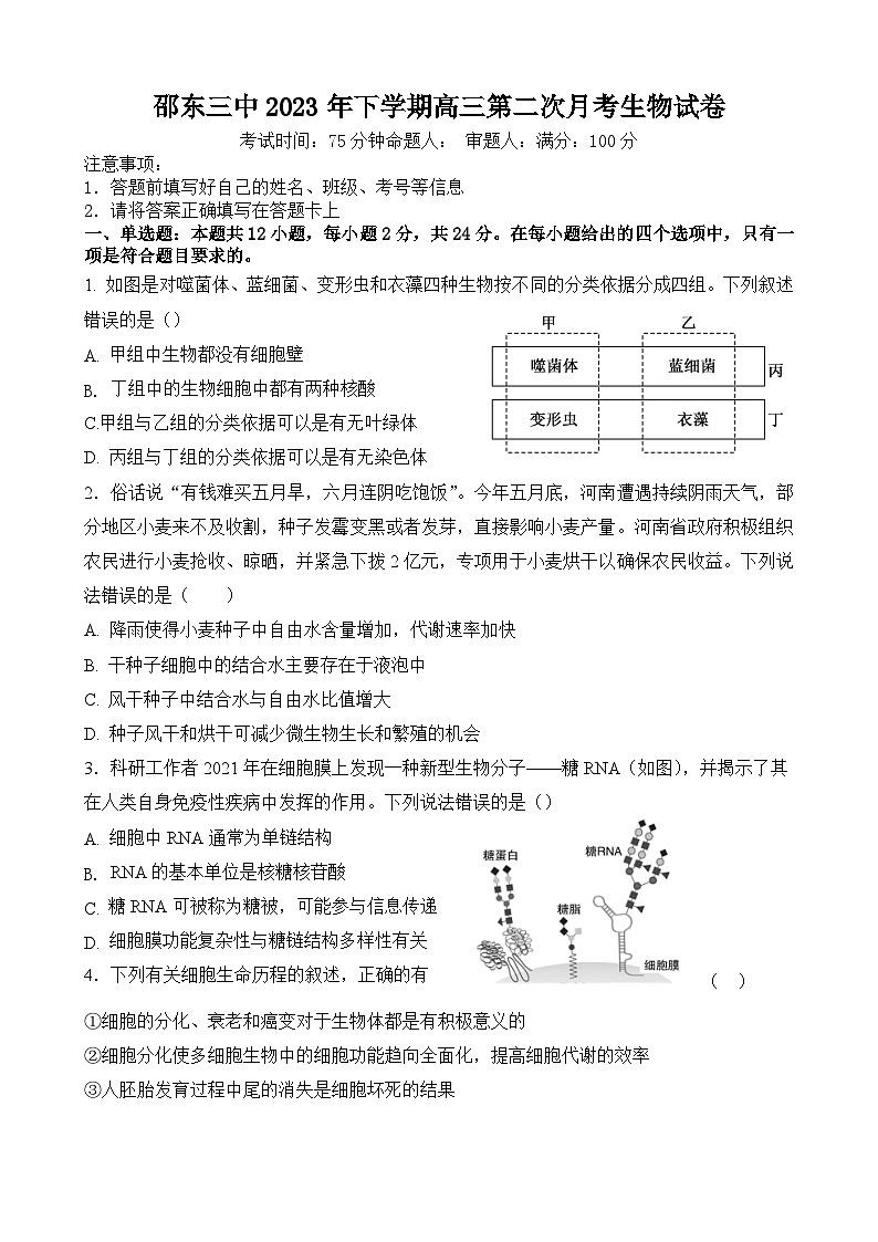 湖南省邵东市第三中学2023-2024学年高三上学期第二次月考生物试题（含答案）01
