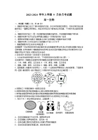河南省郑州市上街区2023-2024学年高一上学期9月月考生物试题