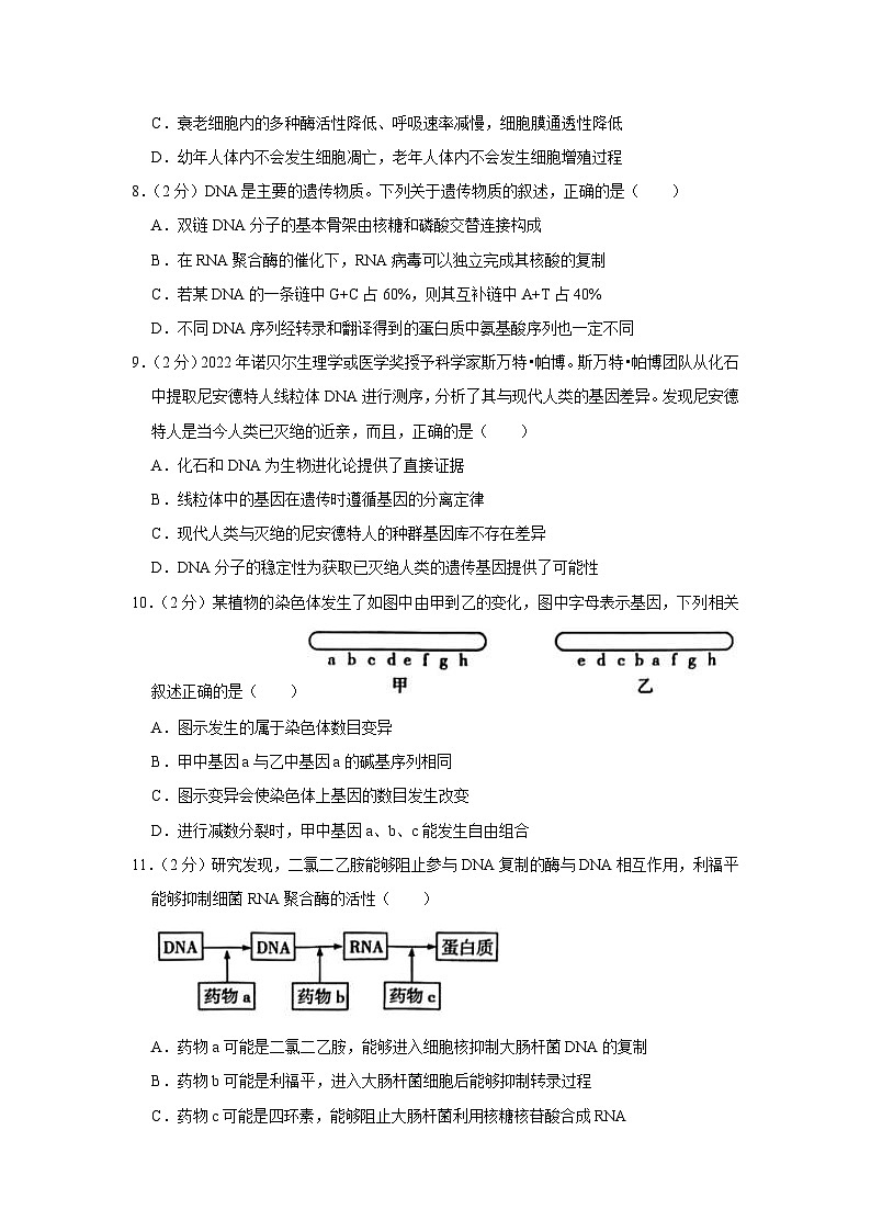 河南省大联考2022-2023学年高二下学期期末考试生物试卷第3页