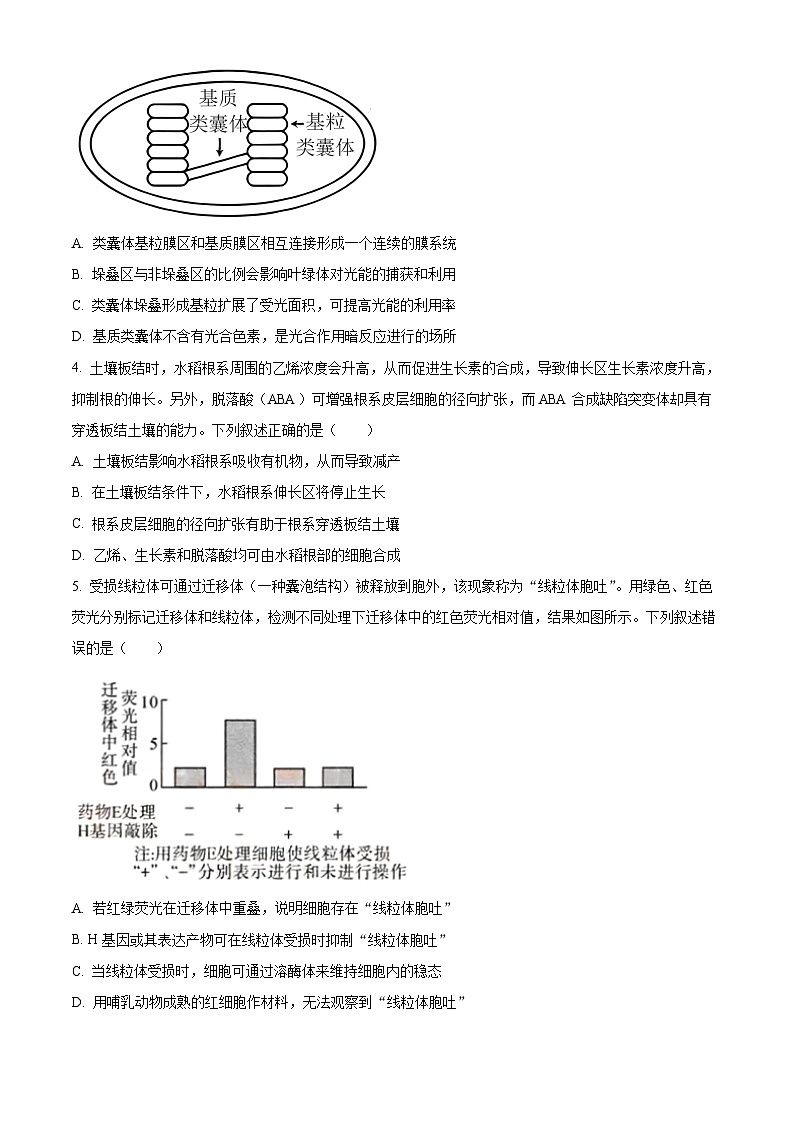 湖北省武汉市部分学校2023-2024学年高三9月调研考试生物试题（原卷版）第2页
