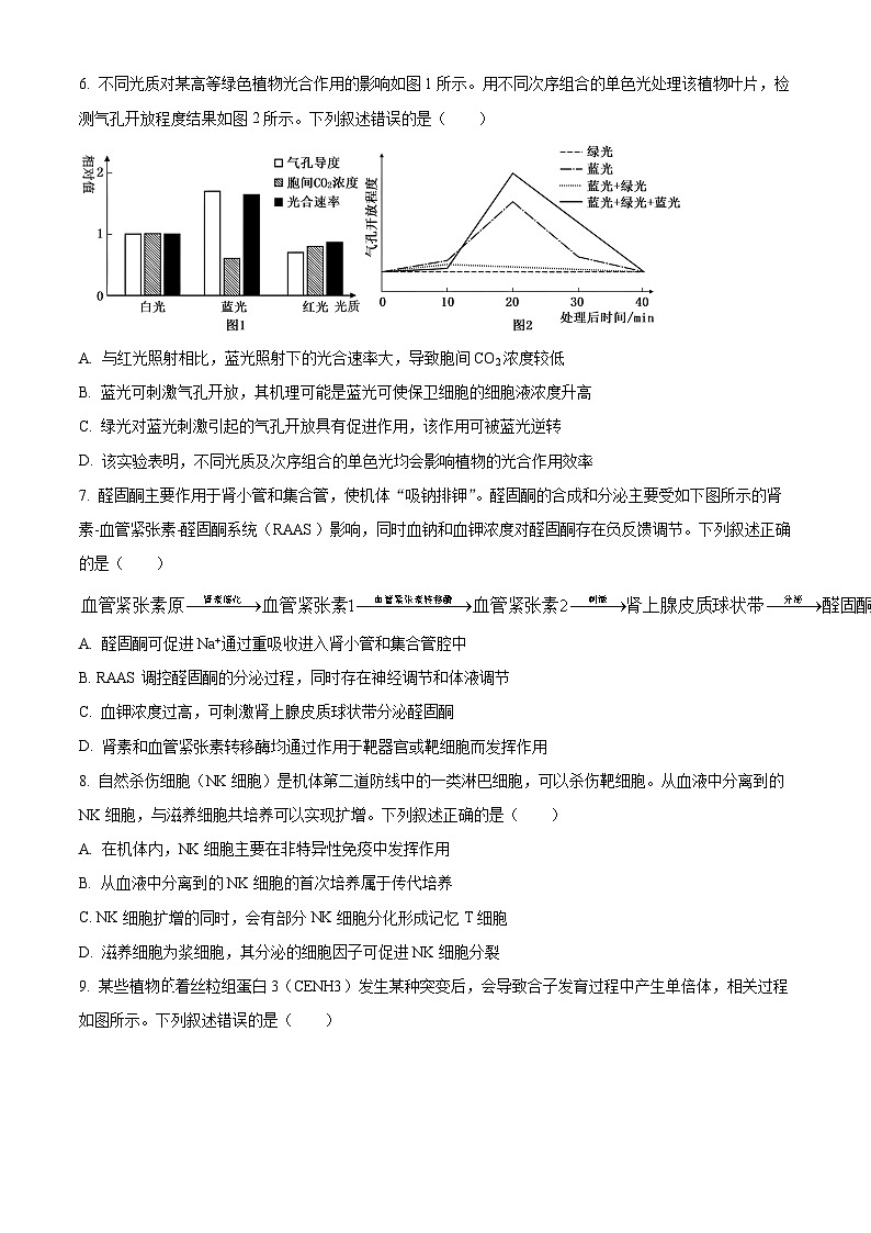 湖北省武汉市部分学校2023-2024学年高三9月调研考试生物试题（原卷版）第3页