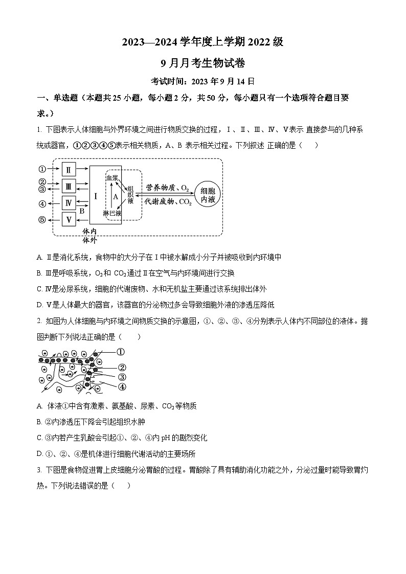 2024荆州沙中学高二上学期9月月考生物试题含解析01