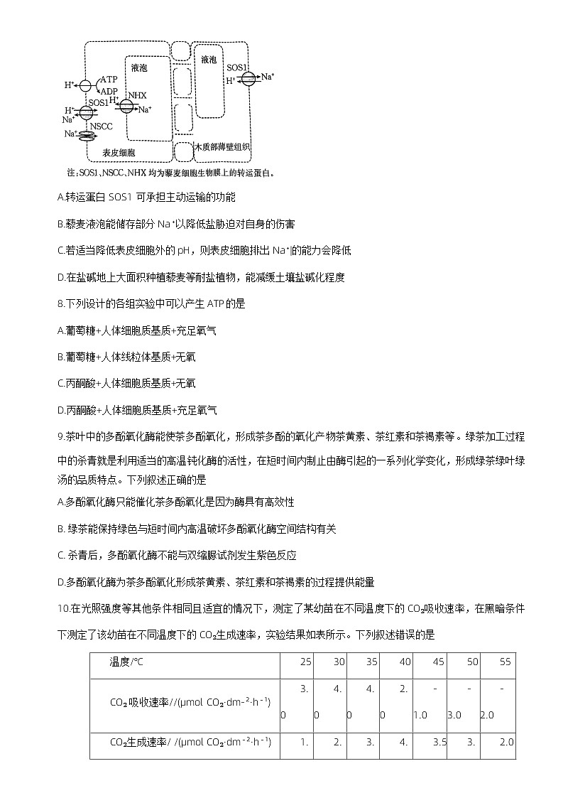 河南省洛阳市创新发展联盟2023-2024学年高三上学期一轮阶段性考试（三）生物试题第3页