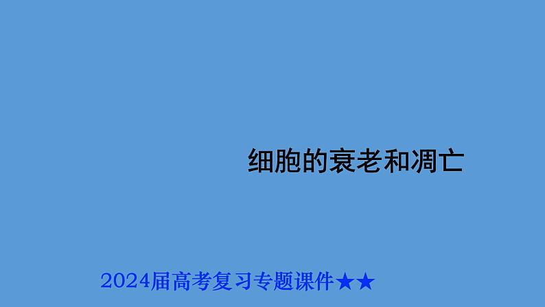 2024届高考生物复习专题课件★★细胞的衰老和凋亡PPT第1页