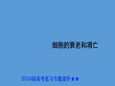 2024届高考生物复习专题课件★★细胞的衰老和凋亡PPT