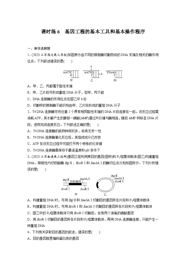 第十单元　生物技术与工程　课时练6　基因工程的基本工具和基本操作程序（含答案）2024届高三生物一轮复习第1页