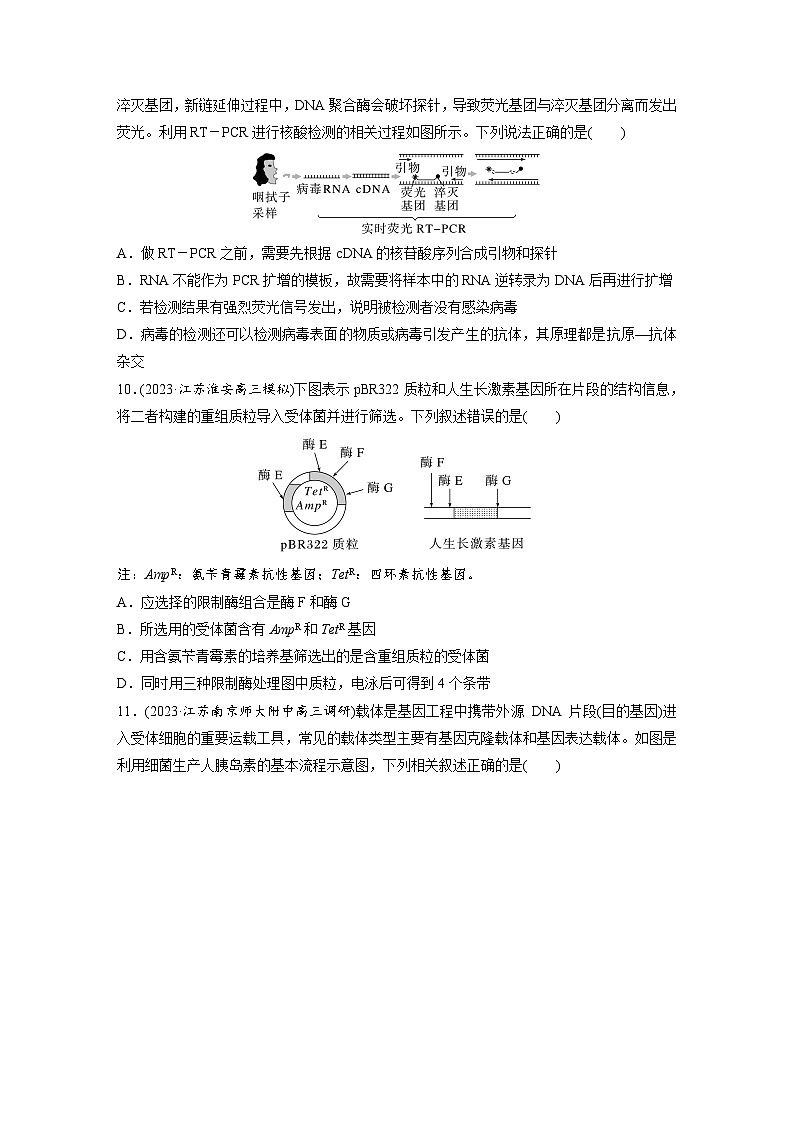 第十单元　生物技术与工程　课时练6　基因工程的基本工具和基本操作程序（含答案）2024届高三生物一轮复习第3页