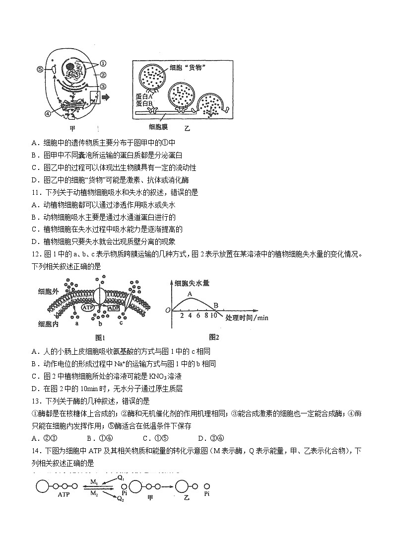 河南省许昌市禹州市高级中学2023-2024学年高三上学期第一次阶段考试生物试题03