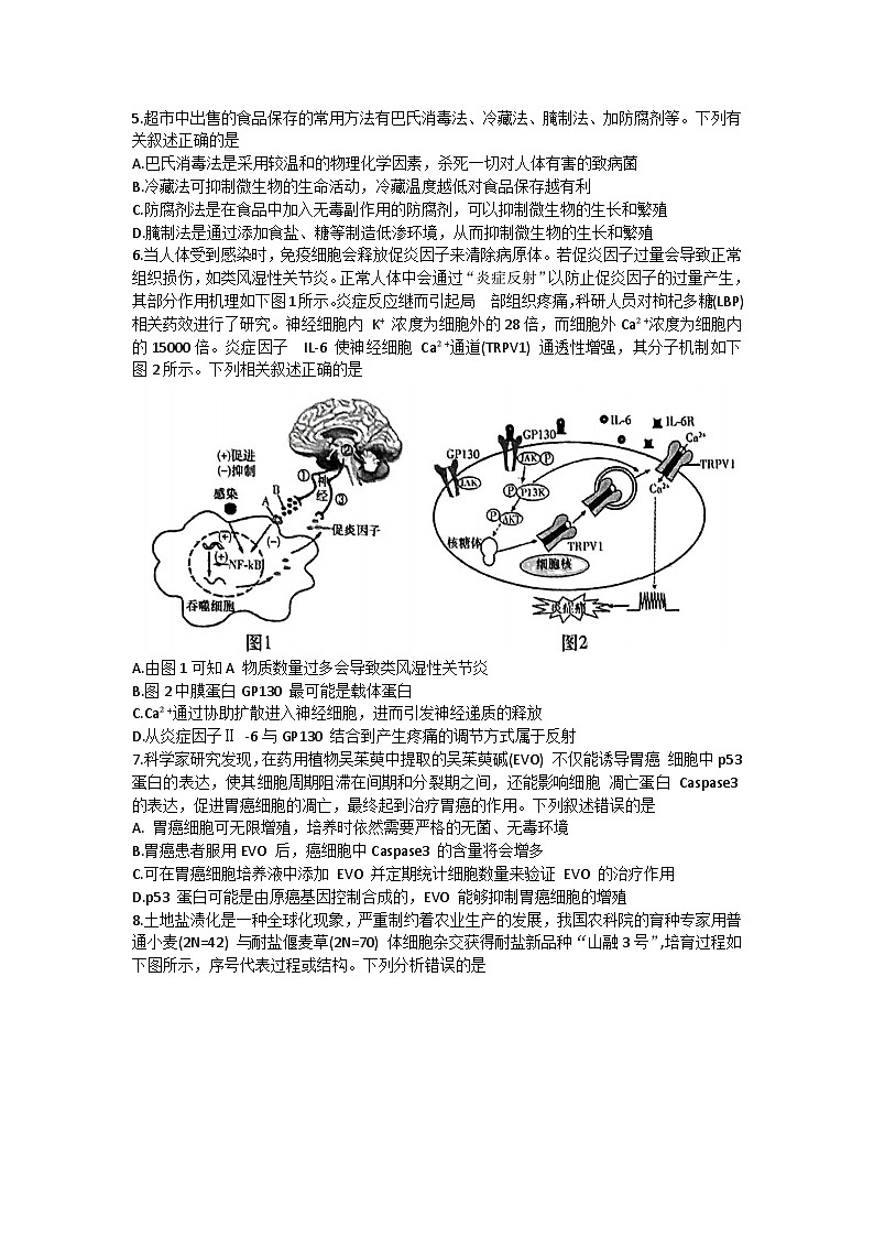 湖南省长沙市雅礼中学2023-2024学年高三上学期月考试卷（一）生物试卷第2页