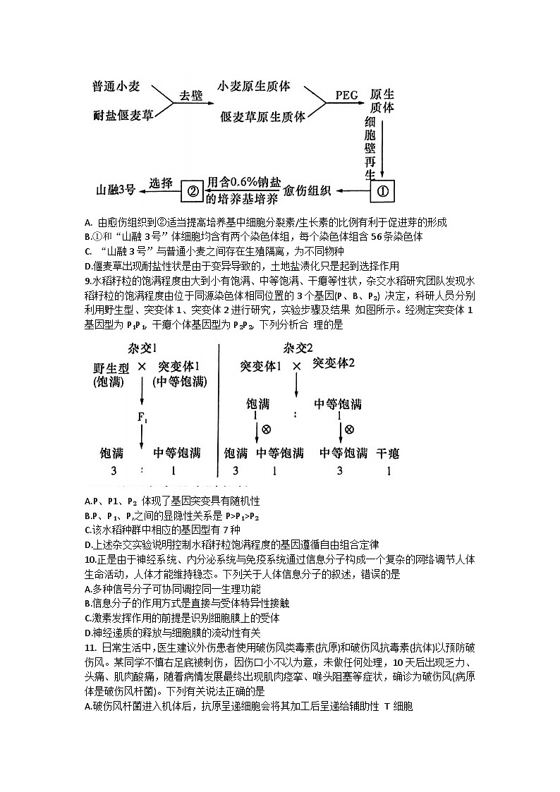 湖南省长沙市雅礼中学2023-2024学年高三上学期月考试卷（一）生物试卷第3页
