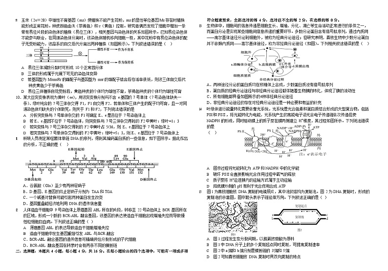 湖南省常德市第一中学2023-2024学年高三上学期第三次月考生物试卷第2页