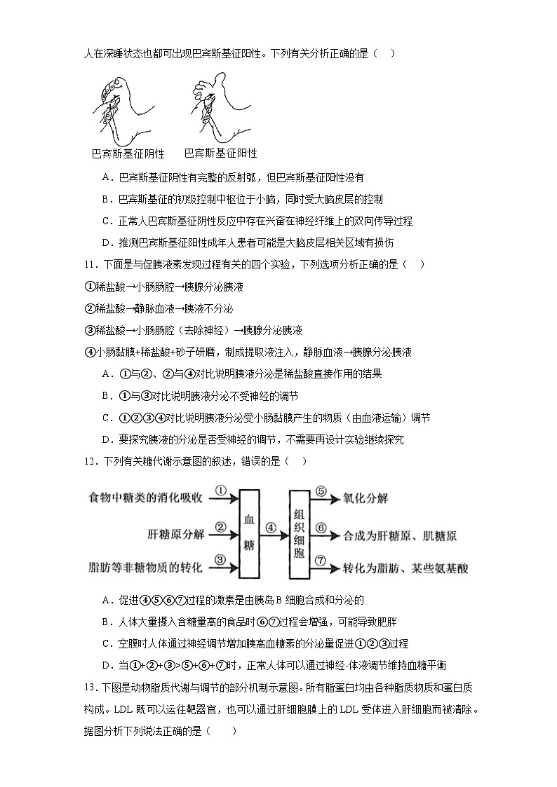 福建省福鼎市第一中学2023-2024学年高二上学期第一次月考生物试题第3页