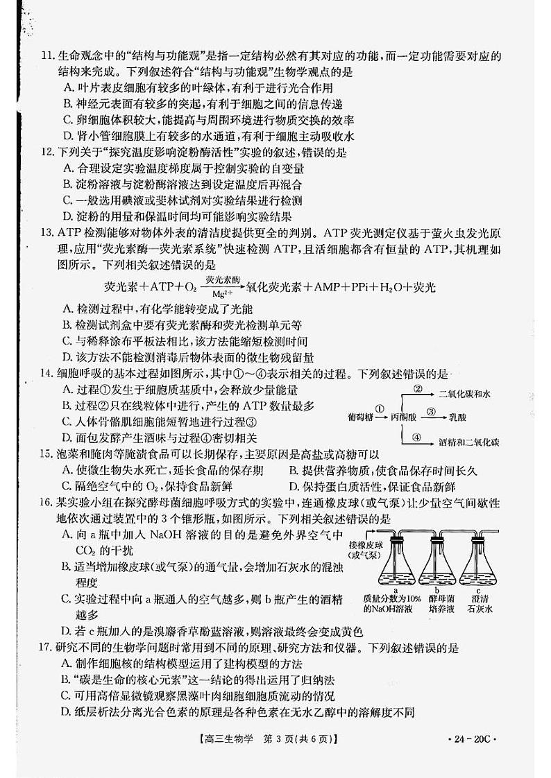 2024贵州省高三上学期9月月考试题生物PDF版含解析03