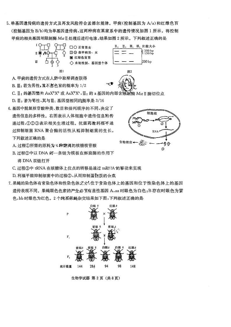 湖南省名校联考联合体2024届高三上学期第二次联考生物第2页