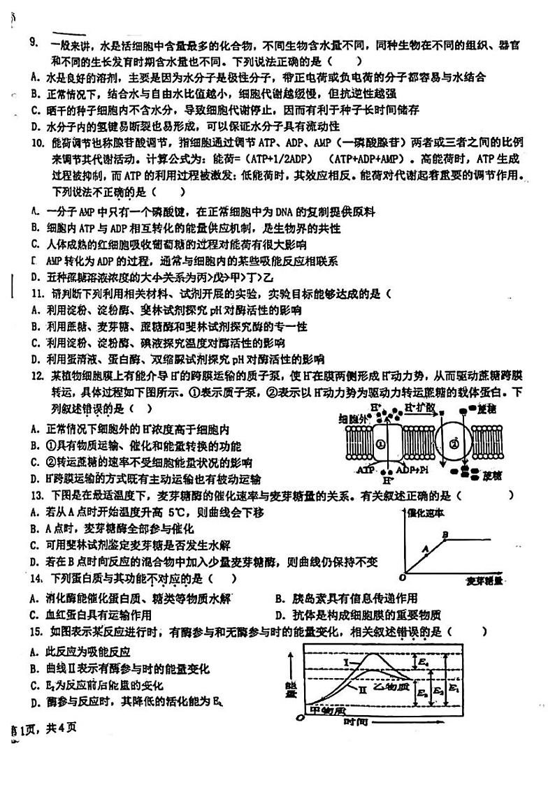 吉林省吉林市第一中学2023-2024学年高一上学期第一次月考生物试题（创新班）第2页