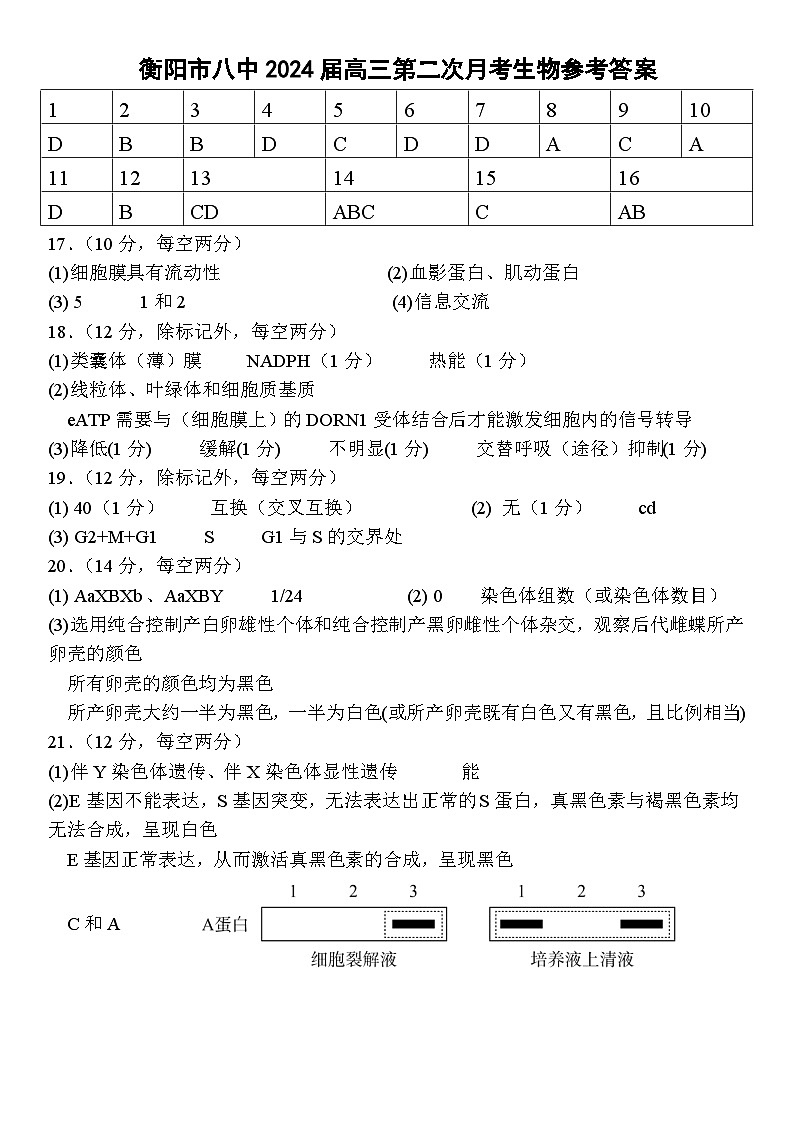 湖南省衡阳市第八中学2023-2024学年高三上学期10月月考生物试题及答案01