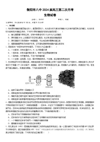 湖南省衡阳市第八中学2023-2024学年高三上学期10月月考生物试题及答案