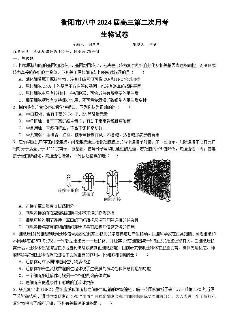 湖南省衡阳市第八中学2023-2024学年高三上学期10月月考生物试题及答案01