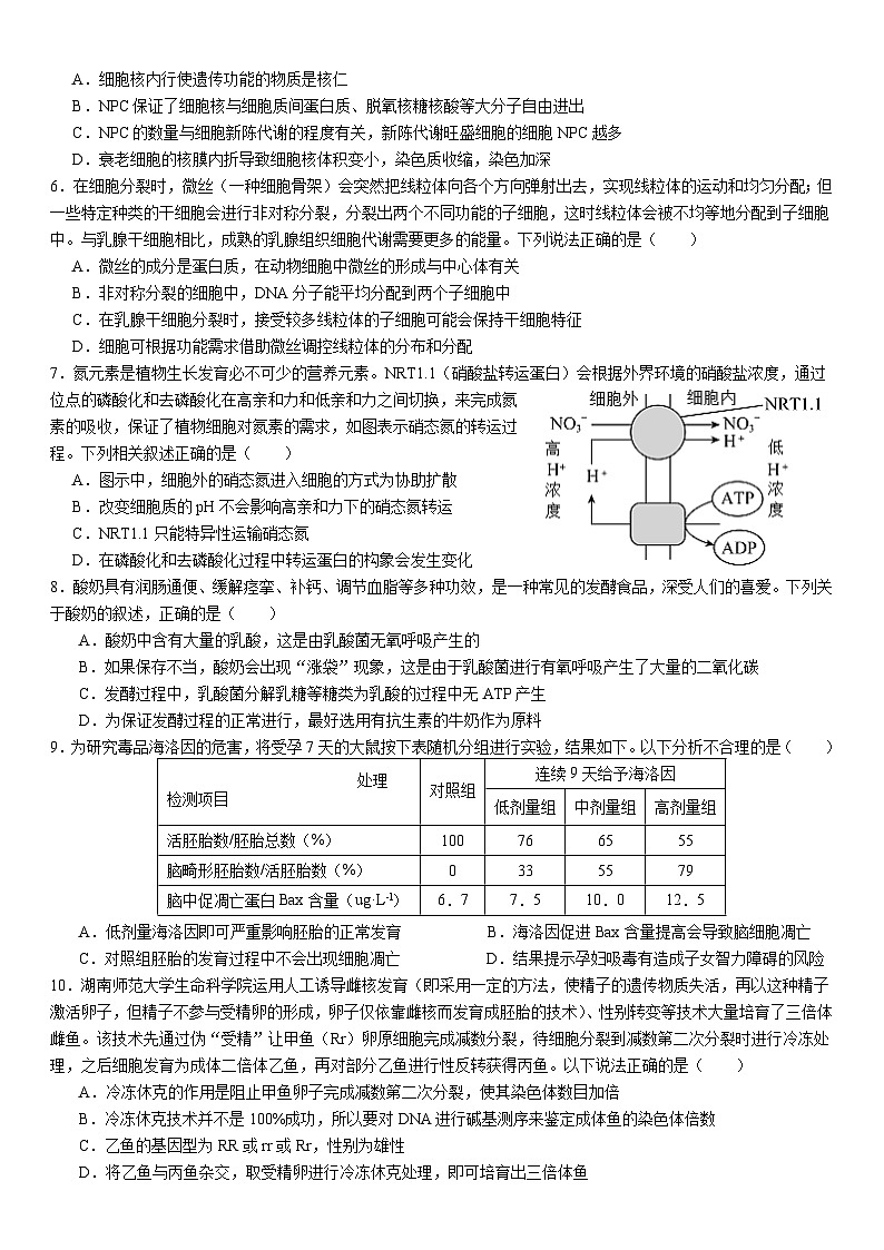 湖南省衡阳市第八中学2023-2024学年高三上学期10月月考生物试题及答案02