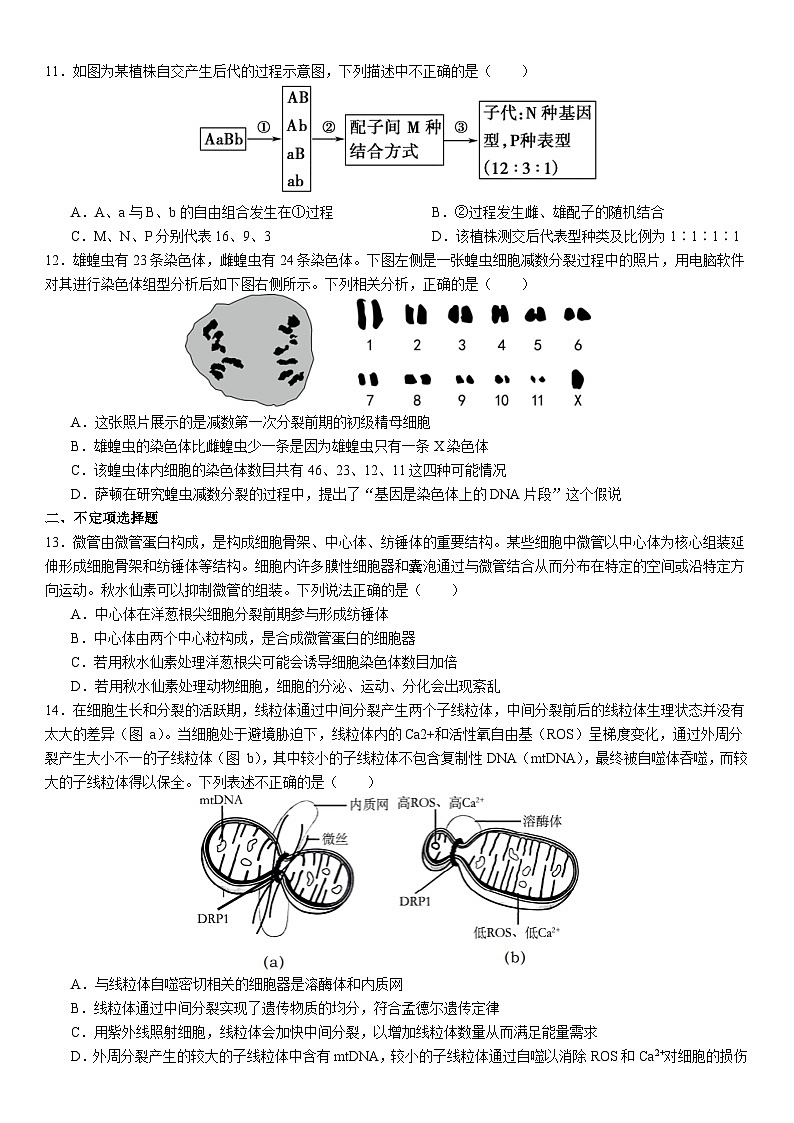 湖南省衡阳市第八中学2023-2024学年高三上学期10月月考生物试题及答案03
