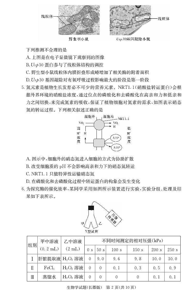 湖南省长沙市长郡中学2023-2024学年高三上学期月考（二）生物试卷02